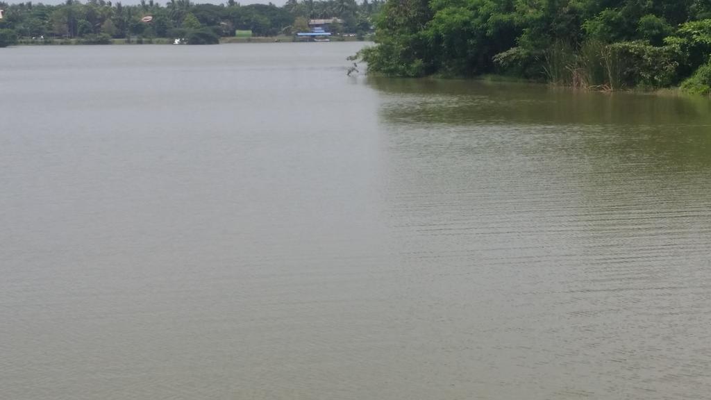 Sunhill Lake Tourist Rest Anuradhapura Dış mekan fotoğraf