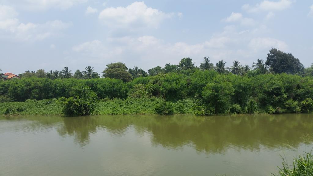 Sunhill Lake Tourist Rest Anuradhapura Dış mekan fotoğraf