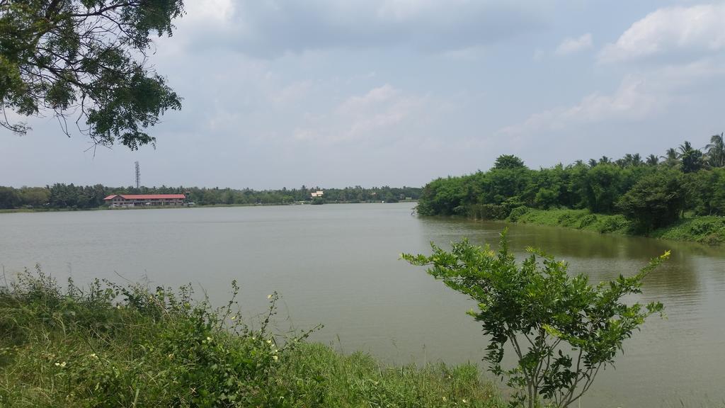 Sunhill Lake Tourist Rest Anuradhapura Dış mekan fotoğraf